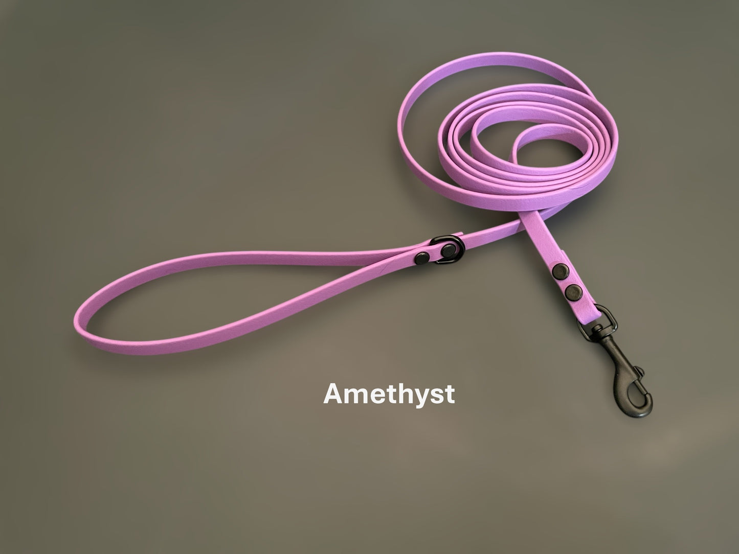 BioThane® Dog Leash with Black Hardware