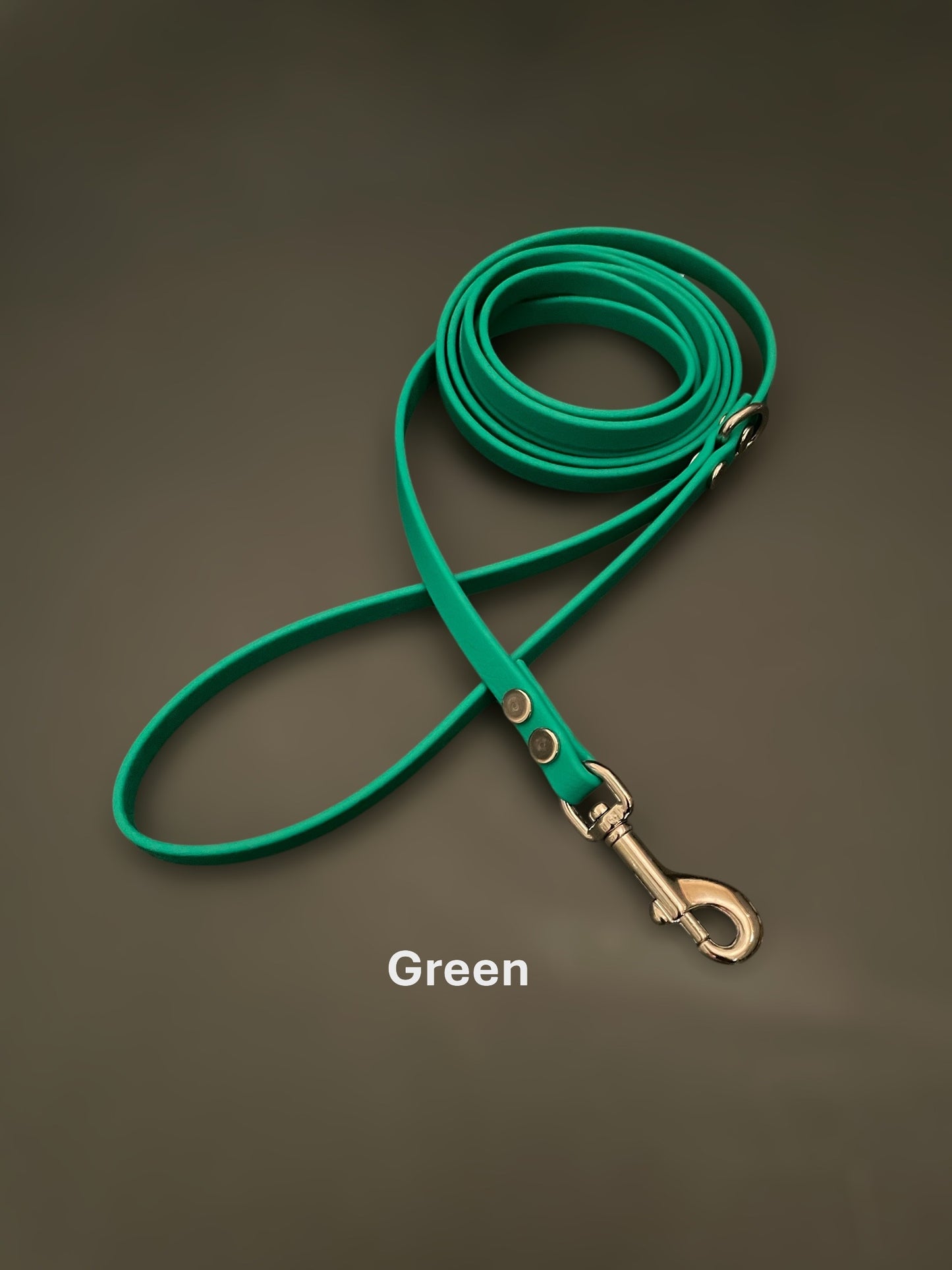 BioThane® Dog Leash with Silver Hardware