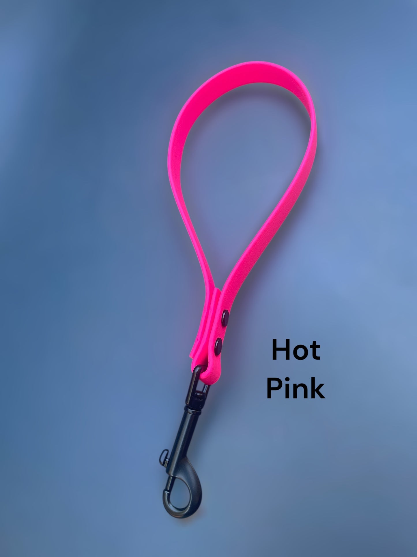 BioThane® Traffic Lead with Black Hardware