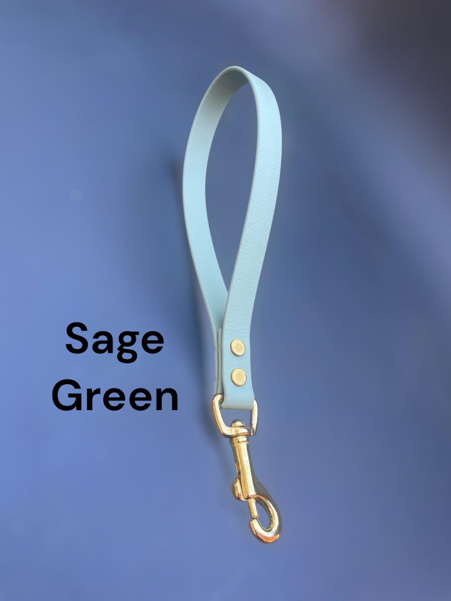 BioThane® Traffic Lead with Solid Brass Hardware