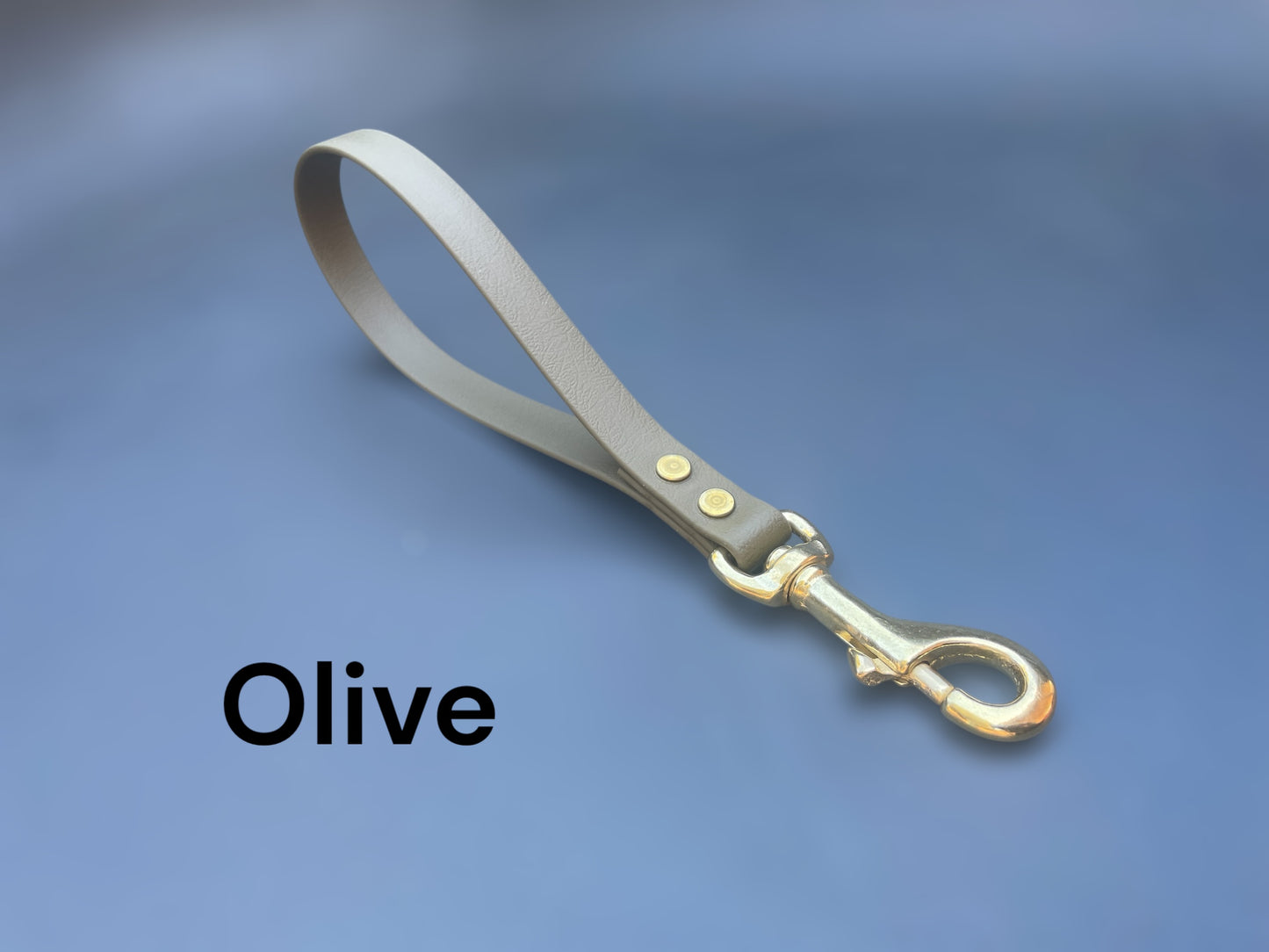 BioThane® Traffic Lead with Solid Brass Hardware