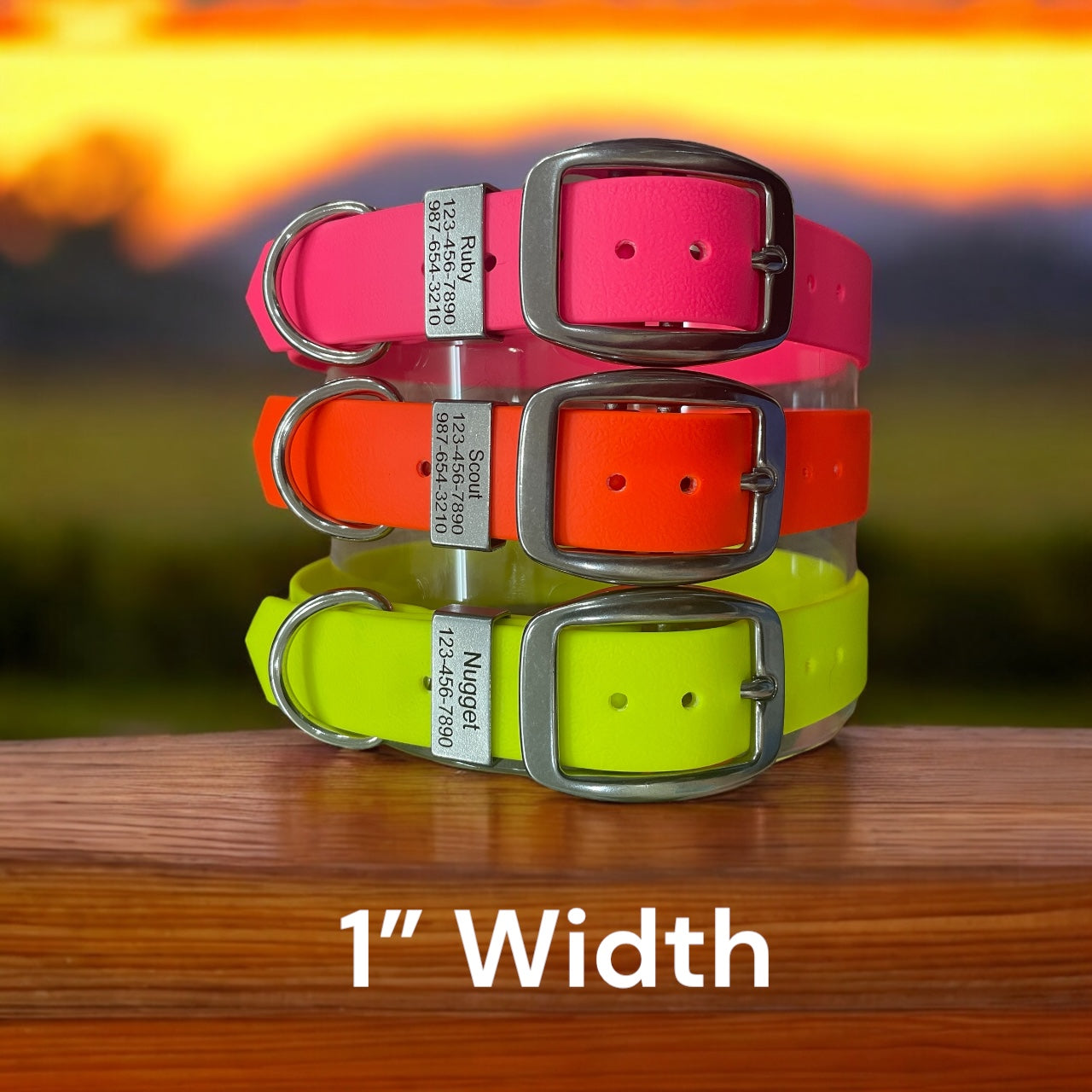 BioThane® Dog Collar with Stainless Steel Buckle and Engraved Stainless Steel Keeper