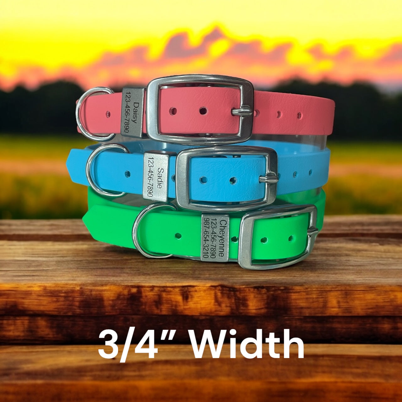 BioThane® Dog Collar with Stainless Steel Buckle and Engraved Stainless Steel Keeper