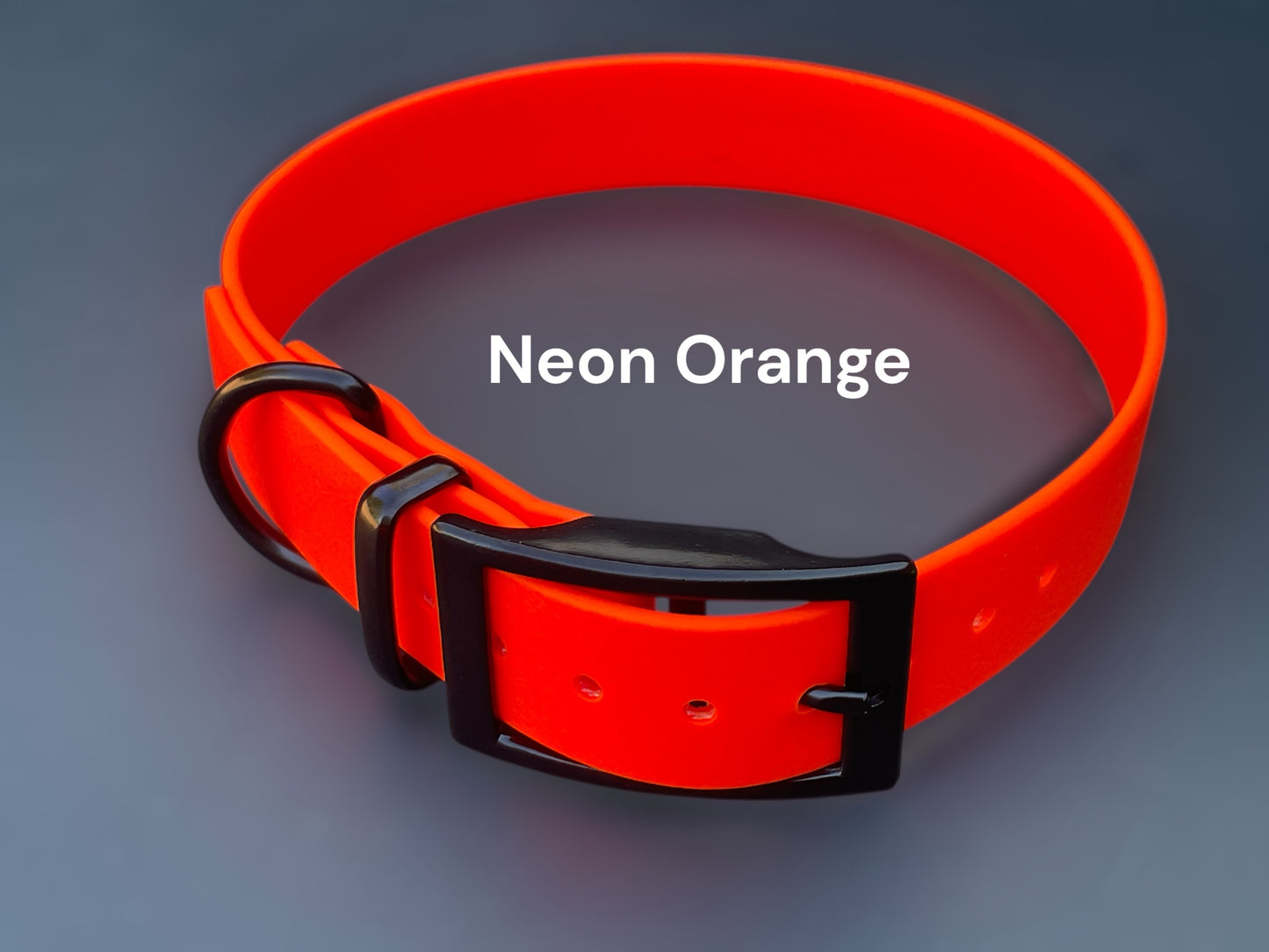 1" Wide BioThane® Dog Collar with Black Buckle