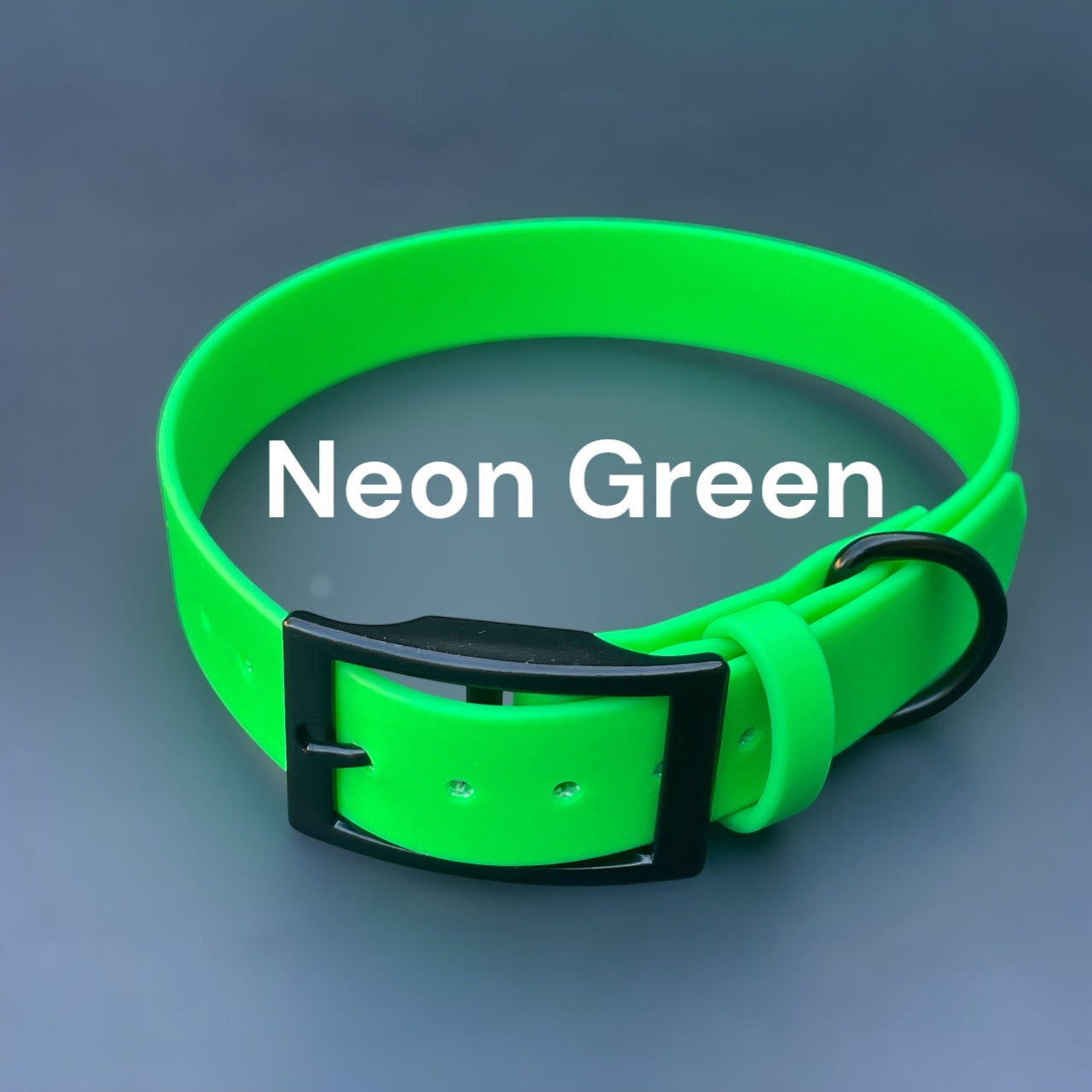 1" Wide BioThane® Dog Collar with Black Buckle