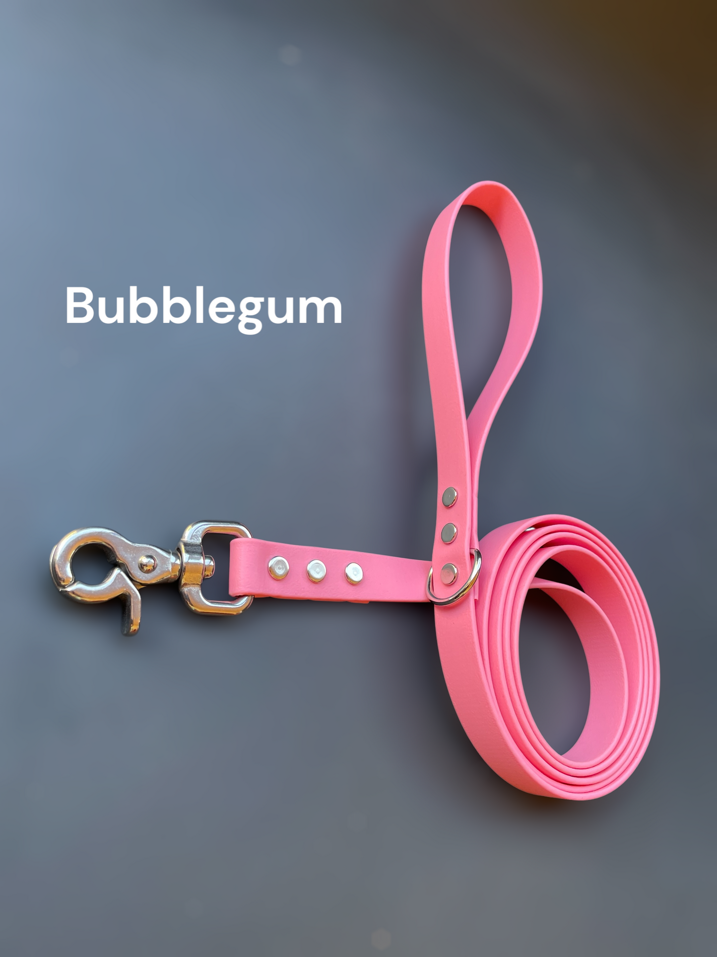 3/4" Wide BioThane® Leash for Large Dogs with Stainless Steel Trigger Snap