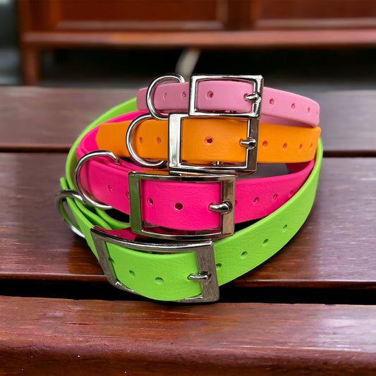 Handmade BioThane® Dog Collar with Silver Buckle