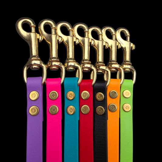 BEST PRICE** 1/2" Wide BioThane® Dog Leash with Solid Brass Hardware
