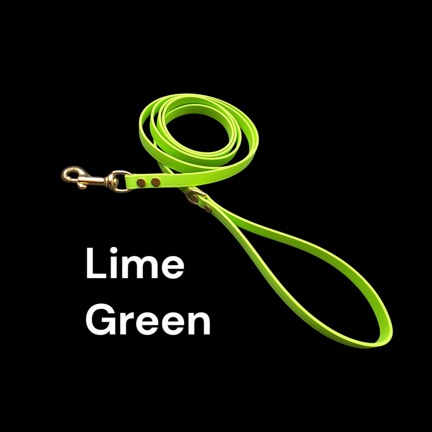 BEST PRICE** 1/2" Wide BioThane® Dog Leash with Solid Brass Hardware