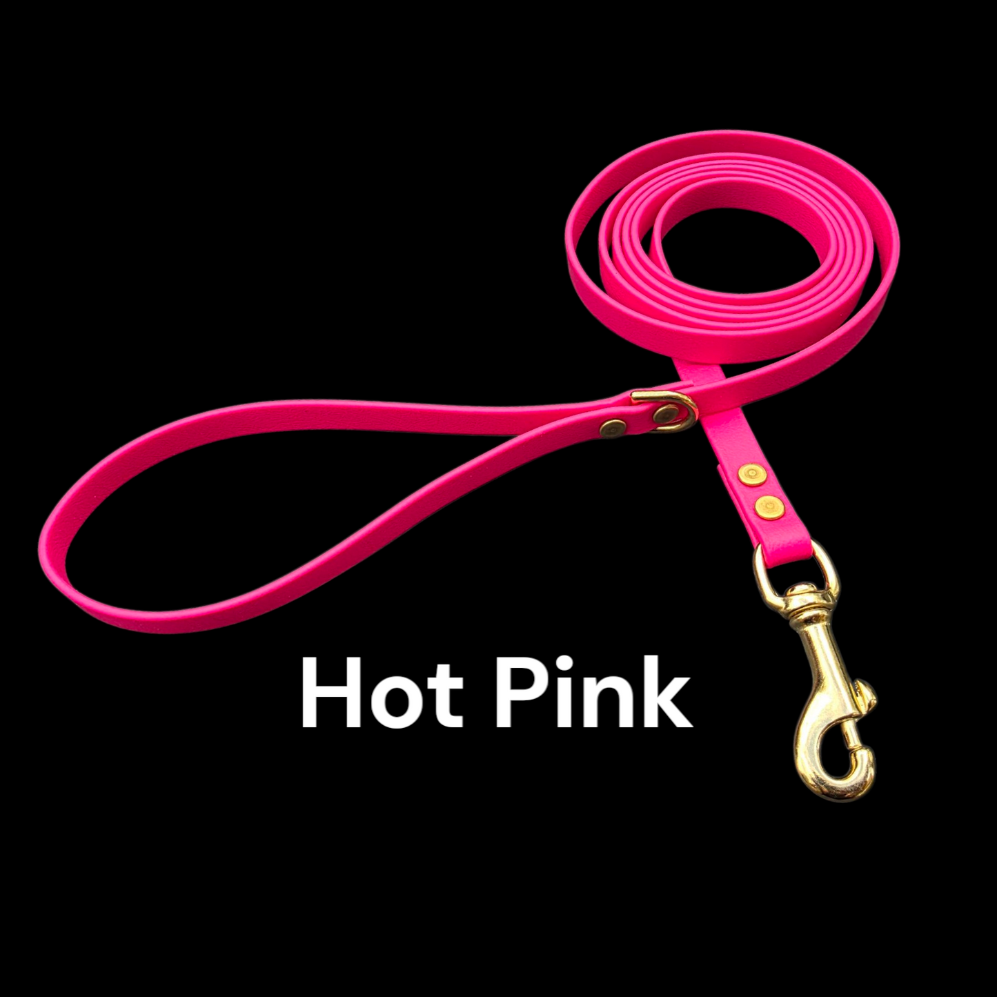 BEST PRICE** 1/2" Wide BioThane® Dog Leash with Solid Brass Hardware