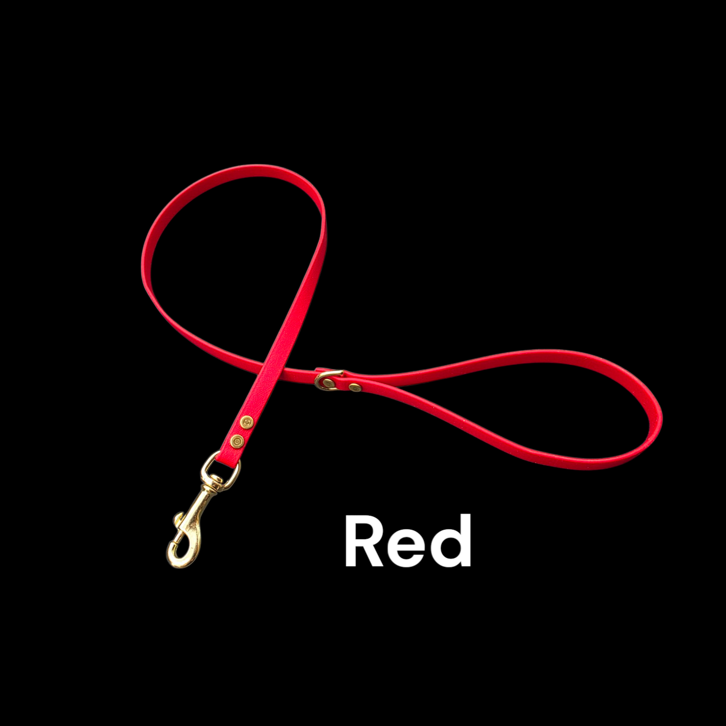 BEST PRICE** 1/2" Wide BioThane® Dog Leash with Solid Brass Hardware