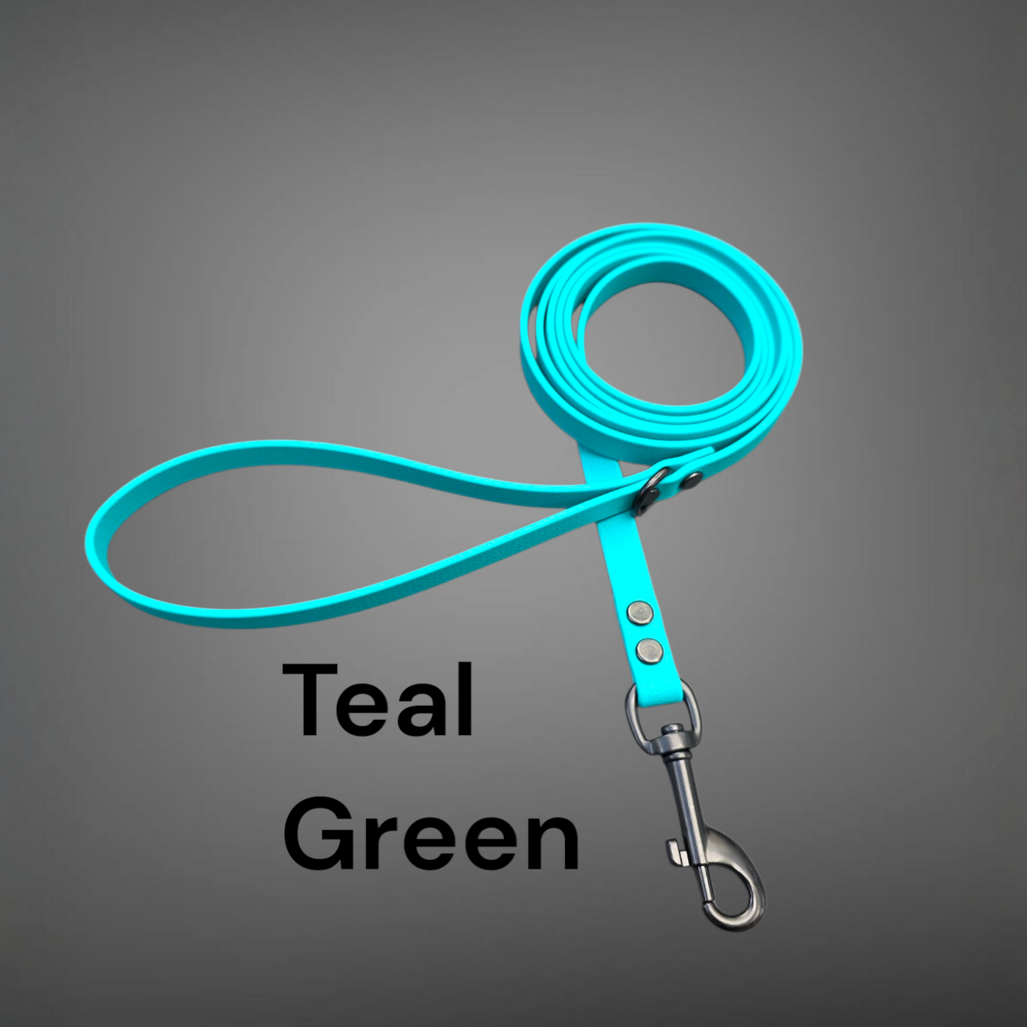 BEST PRICE** 1/2" Wide BioThane® Dog Leash with Black Hardware