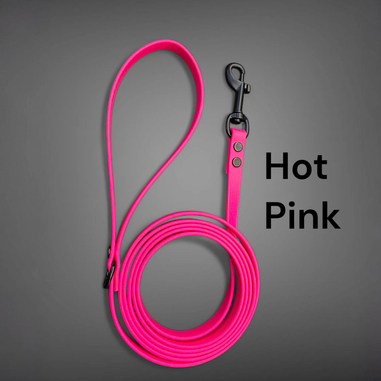 BEST PRICE** 1/2" Wide BioThane® Dog Leash with Black Hardware