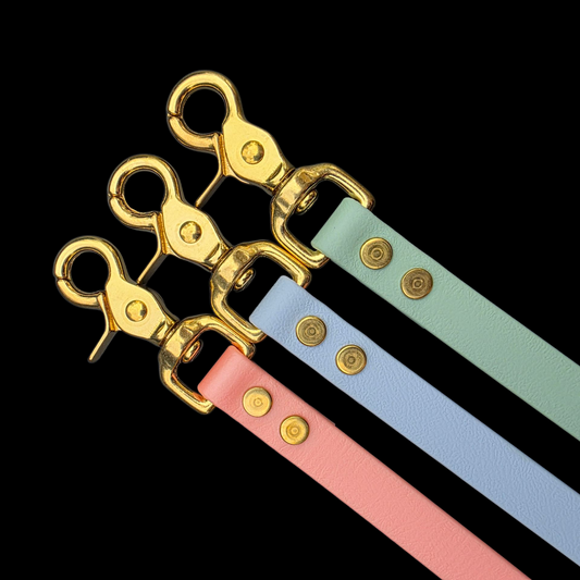 5/8" Wide BioThane® Leash for Medium-Sized Dogs with Solid Brass Trigger Snap
