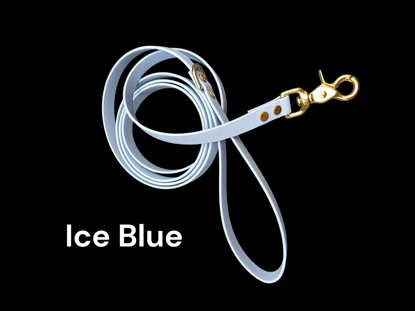 5/8" Wide BioThane® Leash for Medium-Sized Dogs with Solid Brass Trigger Snap
