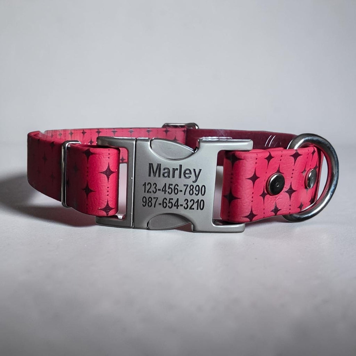 1" Wide BioThane® Dog Collar with Engraved Silver Quick-Release Buckle
