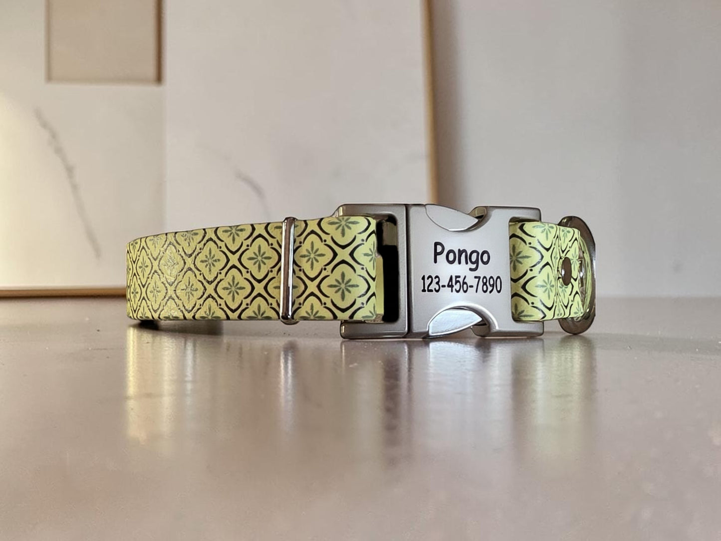 1" Wide BioThane® Dog Collar with Engraved Silver Quick-Release Buckle