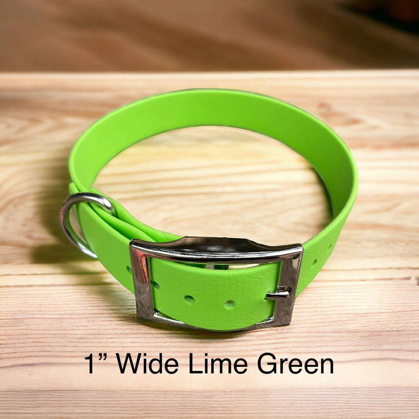 Handmade BioThane® Dog Collar with Silver Buckle