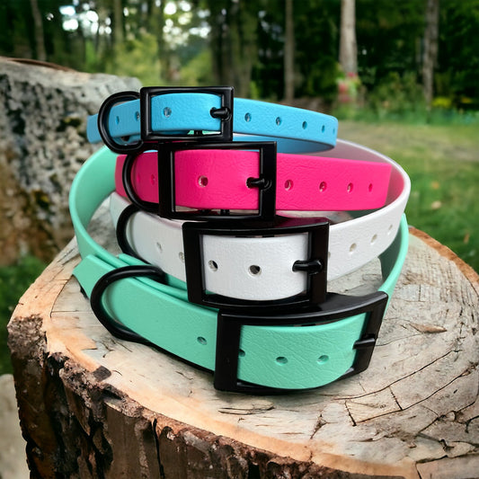 Handmade BioThane® Dog Collar with Black Buckle