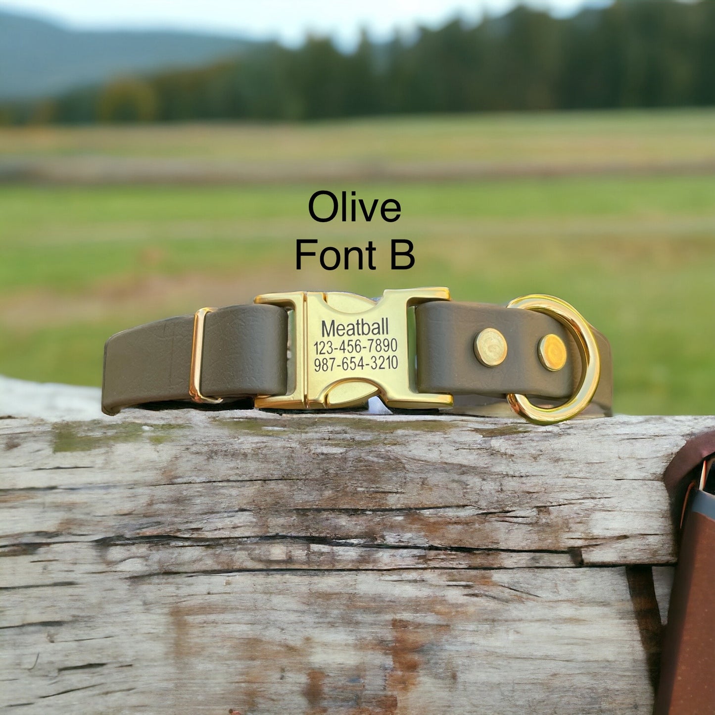 Handmade BioThane® Dog Collar with Engraved Gold Quick-Release Buckle