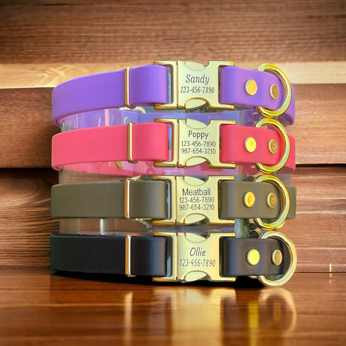 Handmade BioThane® Dog Collar with Engraved Gold Quick-Release Buckle