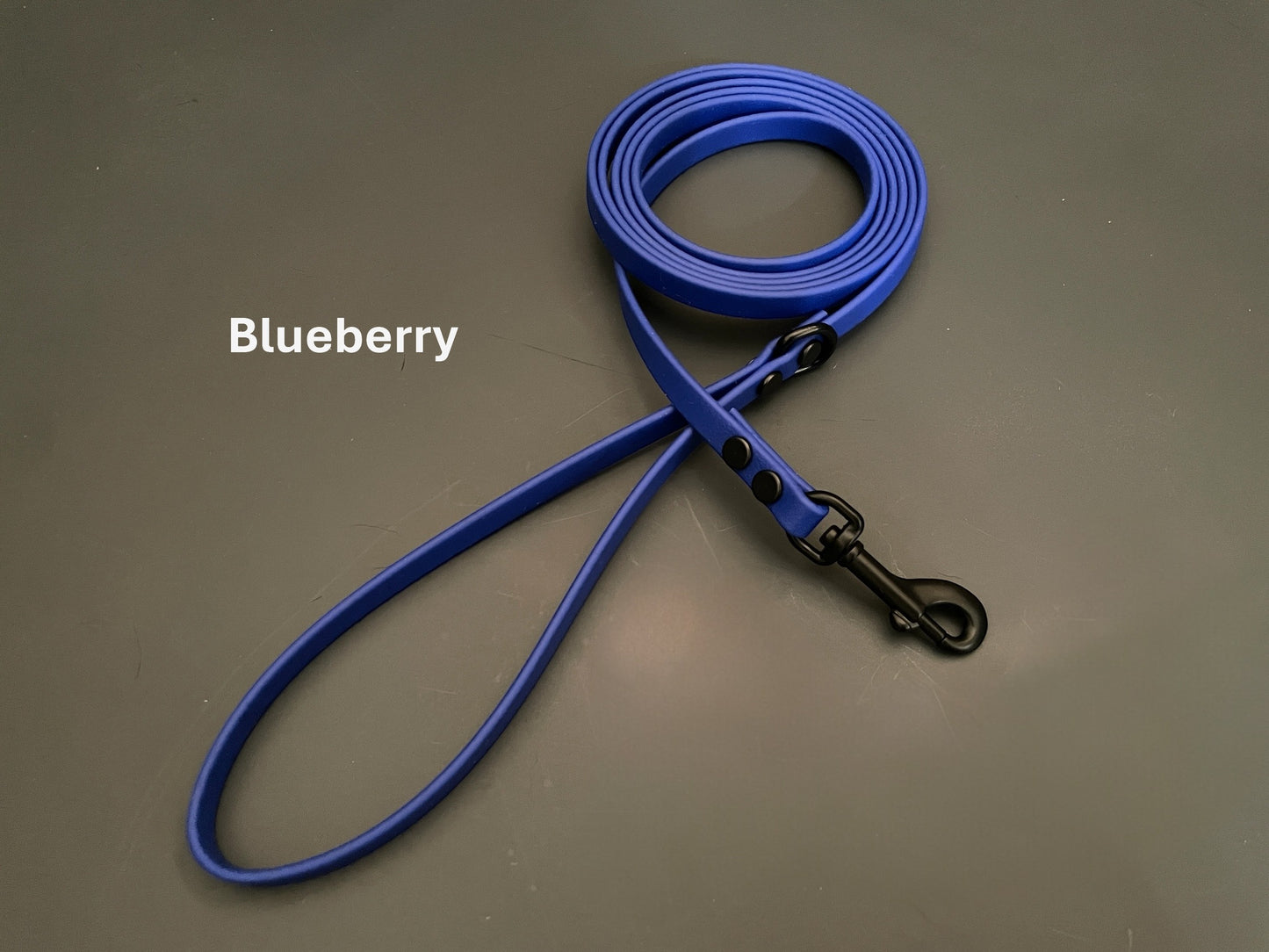 3/8" Wide BioThane® Leash for Toy-Sized Dogs