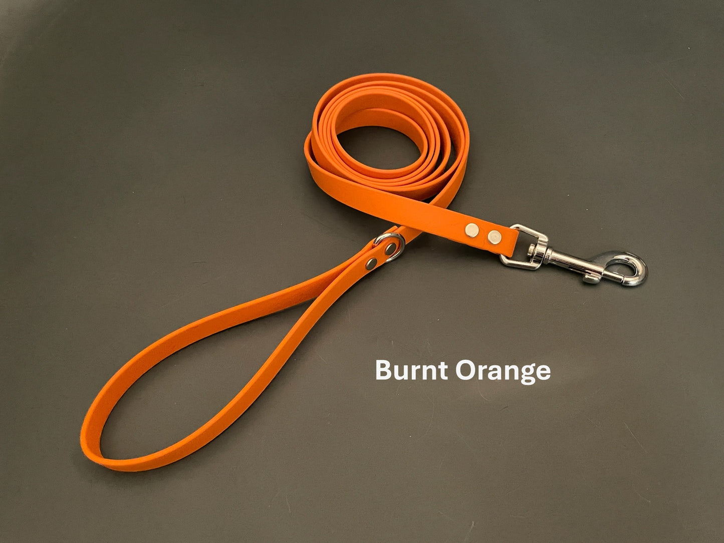 CLEARANCE** 5/8" Wide BioThane® Leash - Overstock Colors