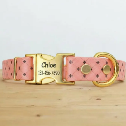 3/4" BioThane® Dog Collar with Engraved Gold Quick-Release Buckle