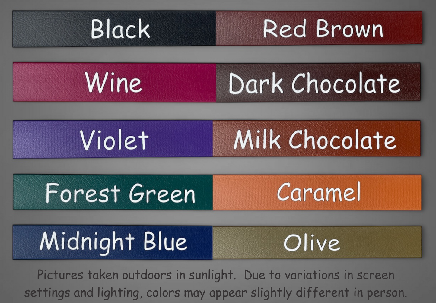 BioThane® Dog Collar with Silver Buckle