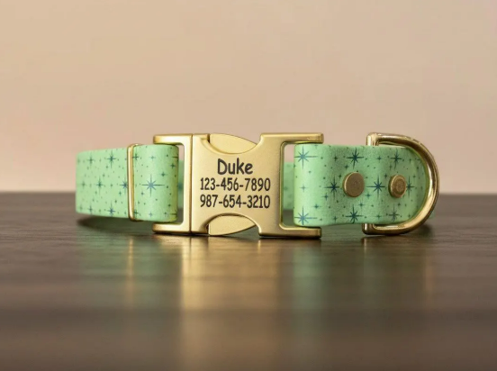 1" BioThane® Dog Collar with Engraved Gold Quick-Release Buckle