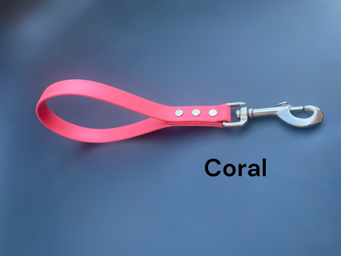 BioThane® Traffic Lead with Stainless Steel Hardware