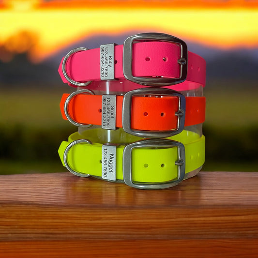BioThane® Dog Collar with Stainless Steel Buckle and Engraved Stainless Steel Keeper