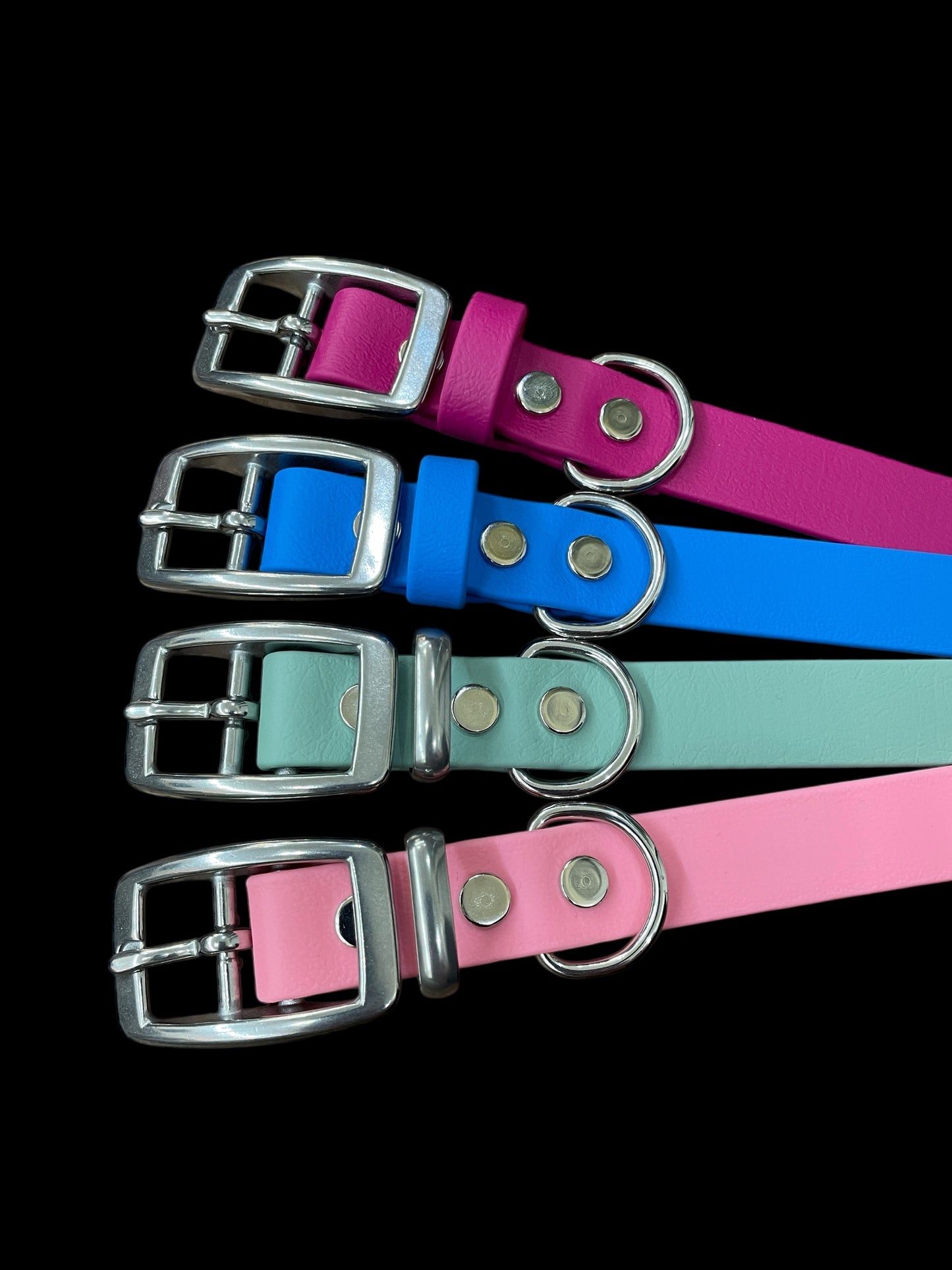 BioThane® Dog Collar with Stainless Steel Buckle