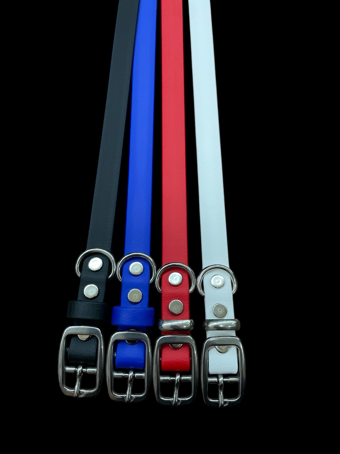 BioThane® Dog Collar with Stainless Steel Buckle