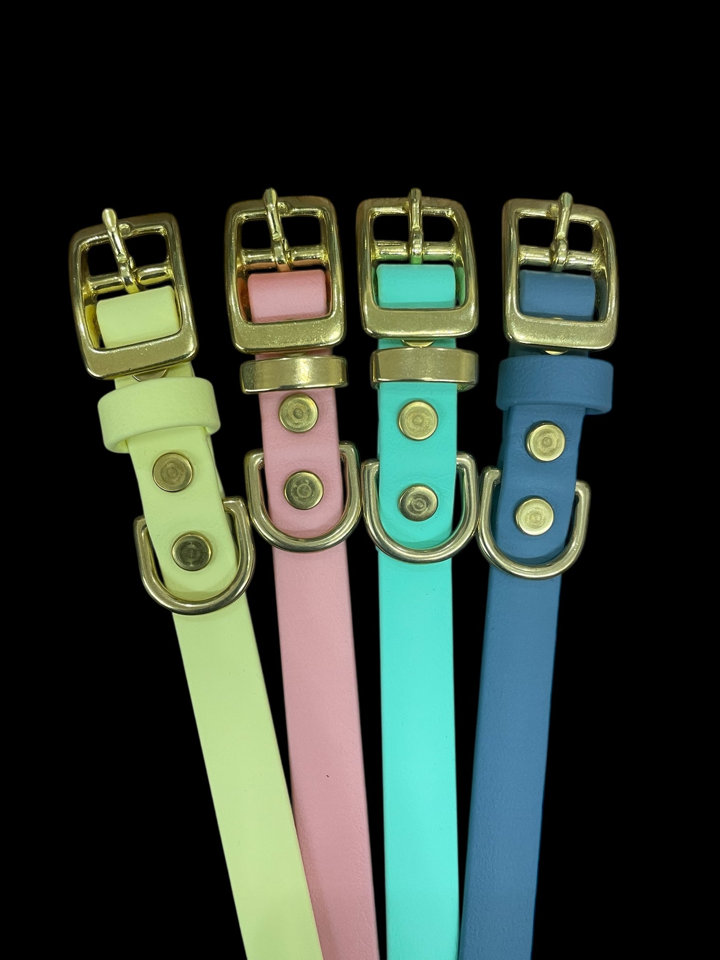 BioThane® Dog Collar with Solid Brass Buckle