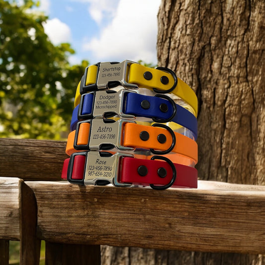 3/4" BioThane® Dog Collar with Engraved Metal/Plastic Side Release Buckle