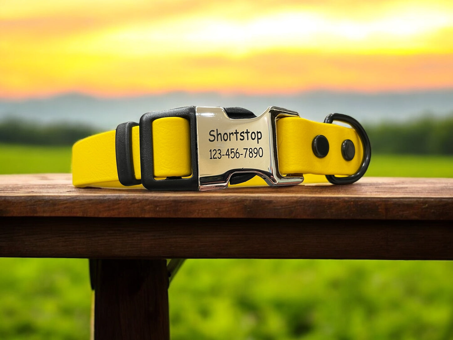 BioThane® Dog Collar with Engraved Metal/Plastic Side Release Buckle