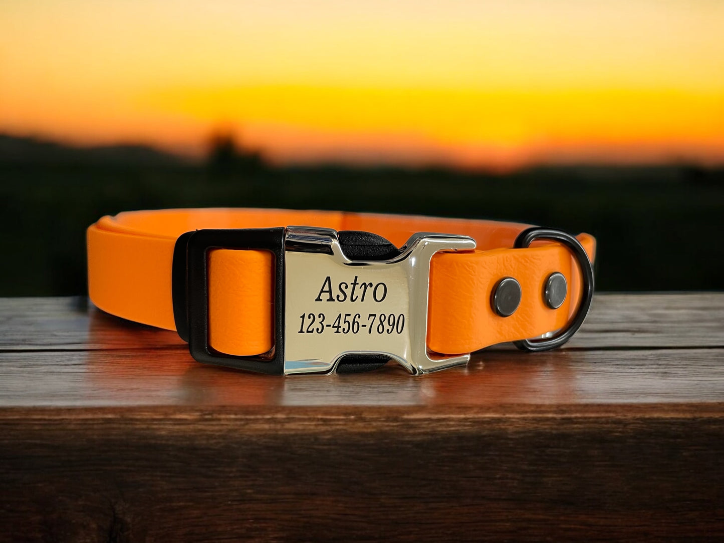 BioThane® Dog Collar with Engraved Metal/Plastic Side Release Buckle