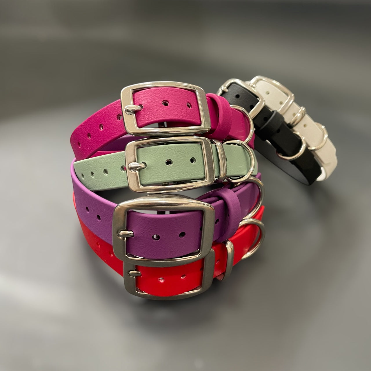 BioThane® Dog Collar with Stainless Steel Buckle