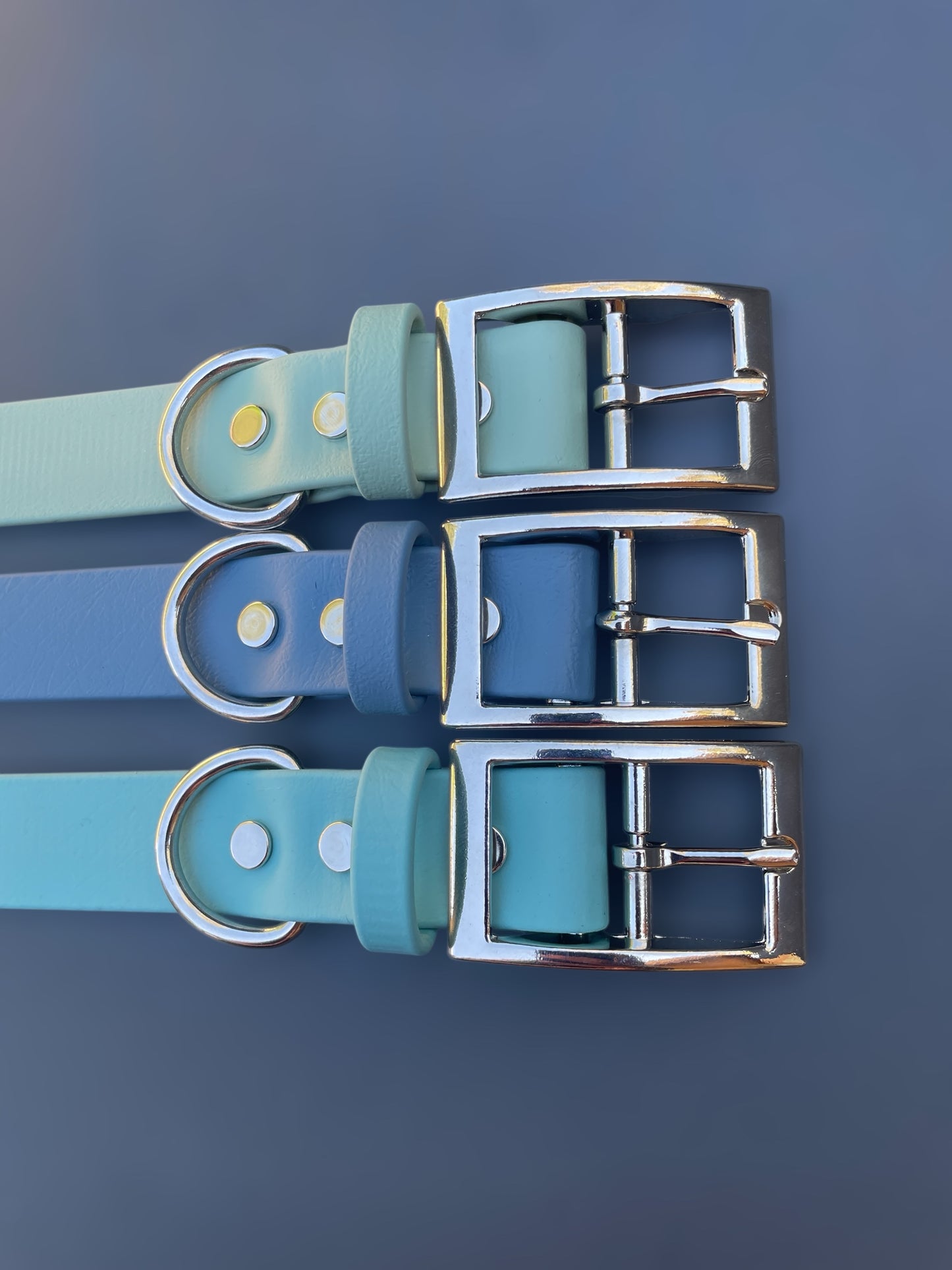 1" Wide BioThane® Dog Collar with Silver Buckle