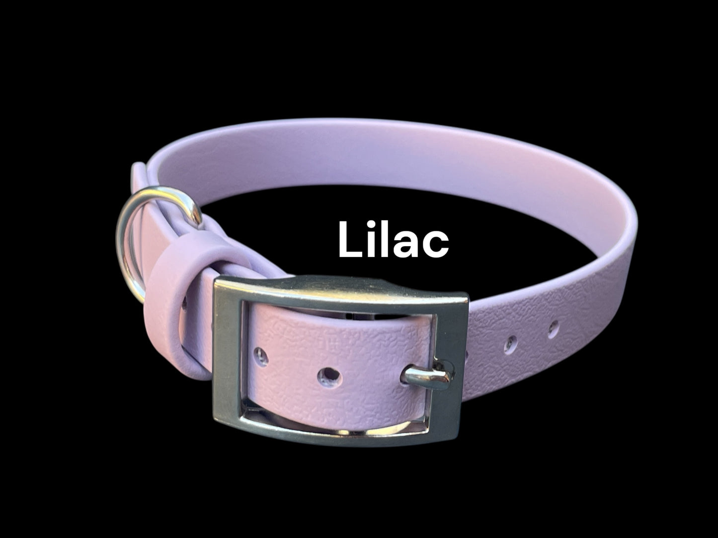 3/4" Wide BioThane® Dog Collar with Silver Buckle