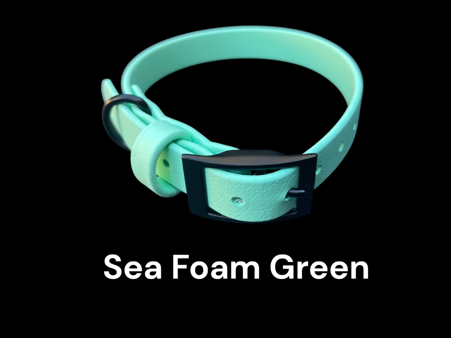 5/8" Wide BioThane® Dog Collar with Black Buckle