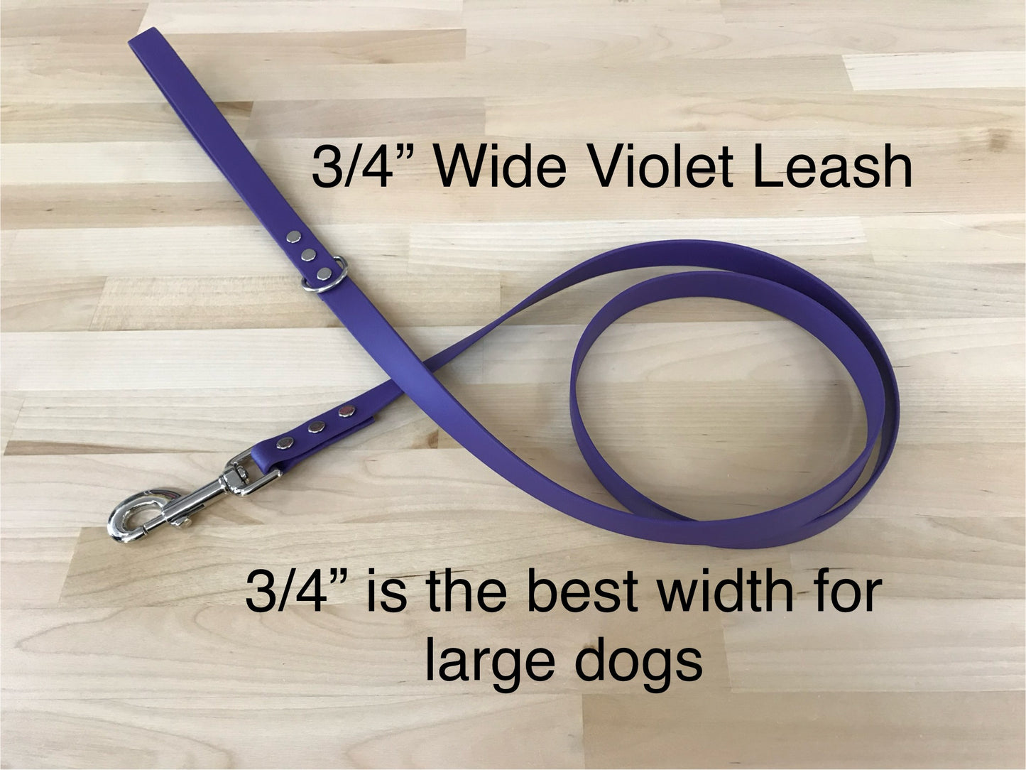 Handmade BioThane® Dog Leash with Silver Hardware