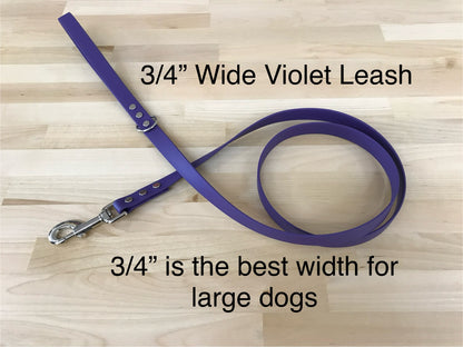 Handmade BioThane® Dog Leash with Silver Hardware