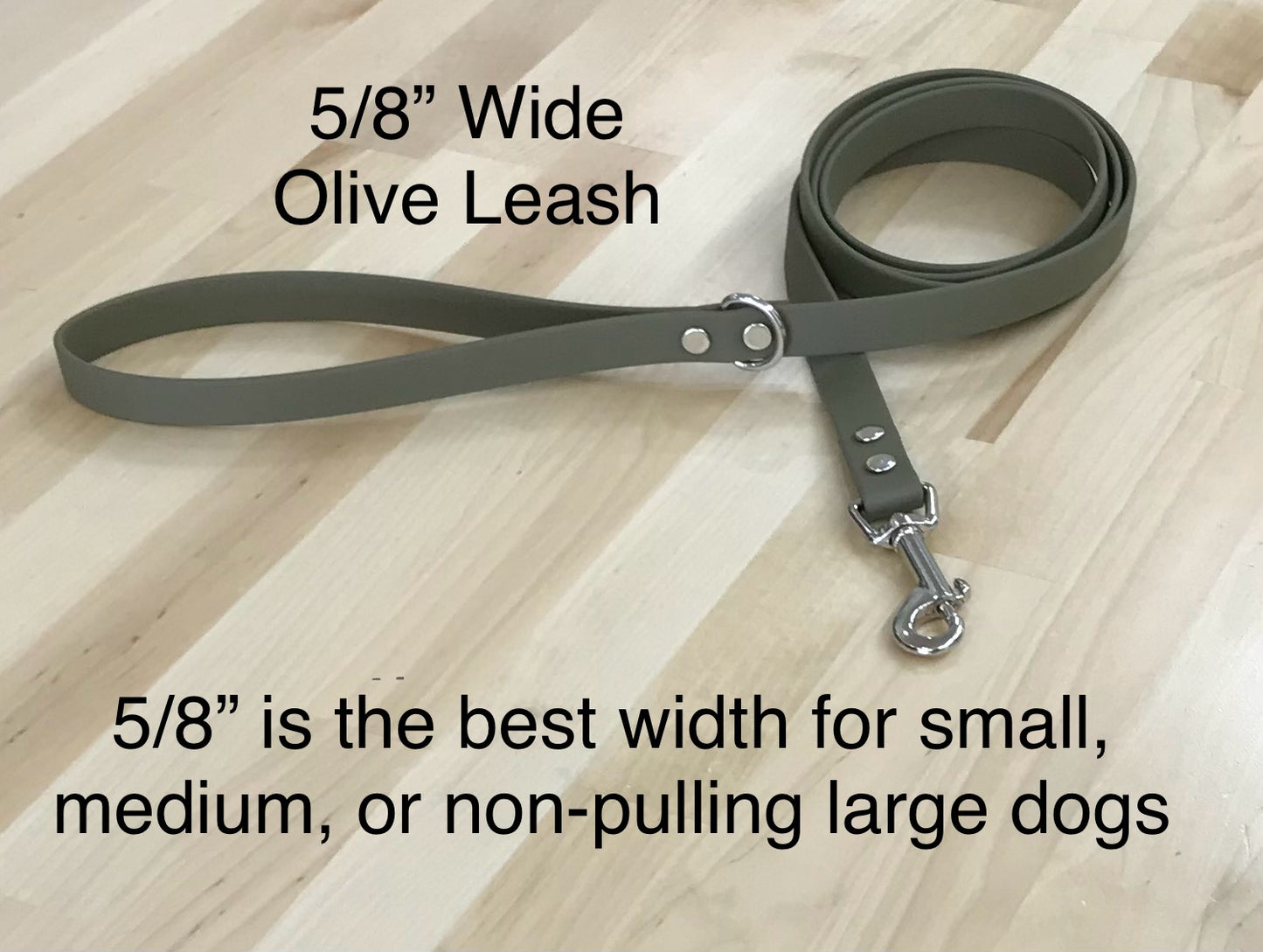 Handmade BioThane® Dog Leash with Silver Hardware