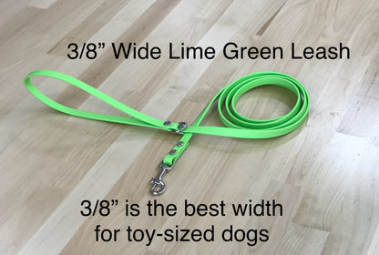 Handmade BioThane® Dog Leash with Silver Hardware