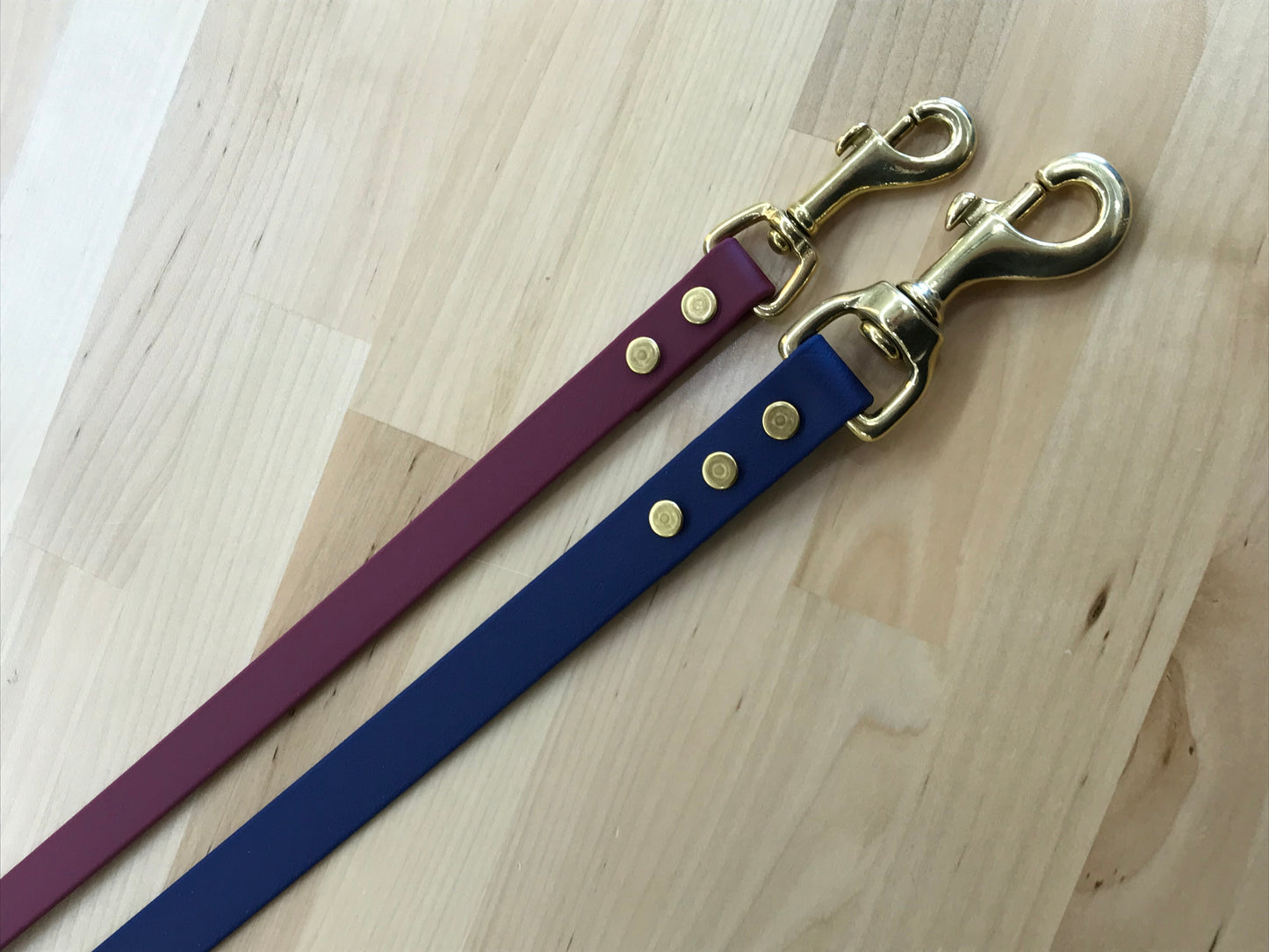 Handmade BioThane® Dog Leash with Solid Brass Hardware