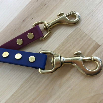 Handmade BioThane® Dog Leash with Solid Brass Hardware