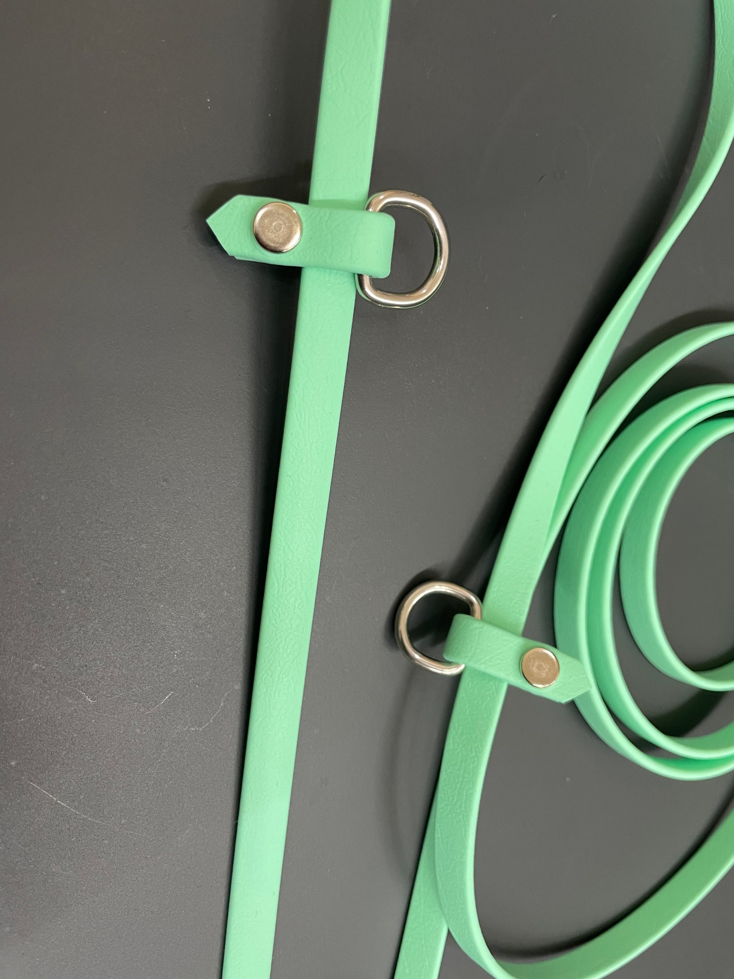 Handmade Hands-Free BioThane® Leash