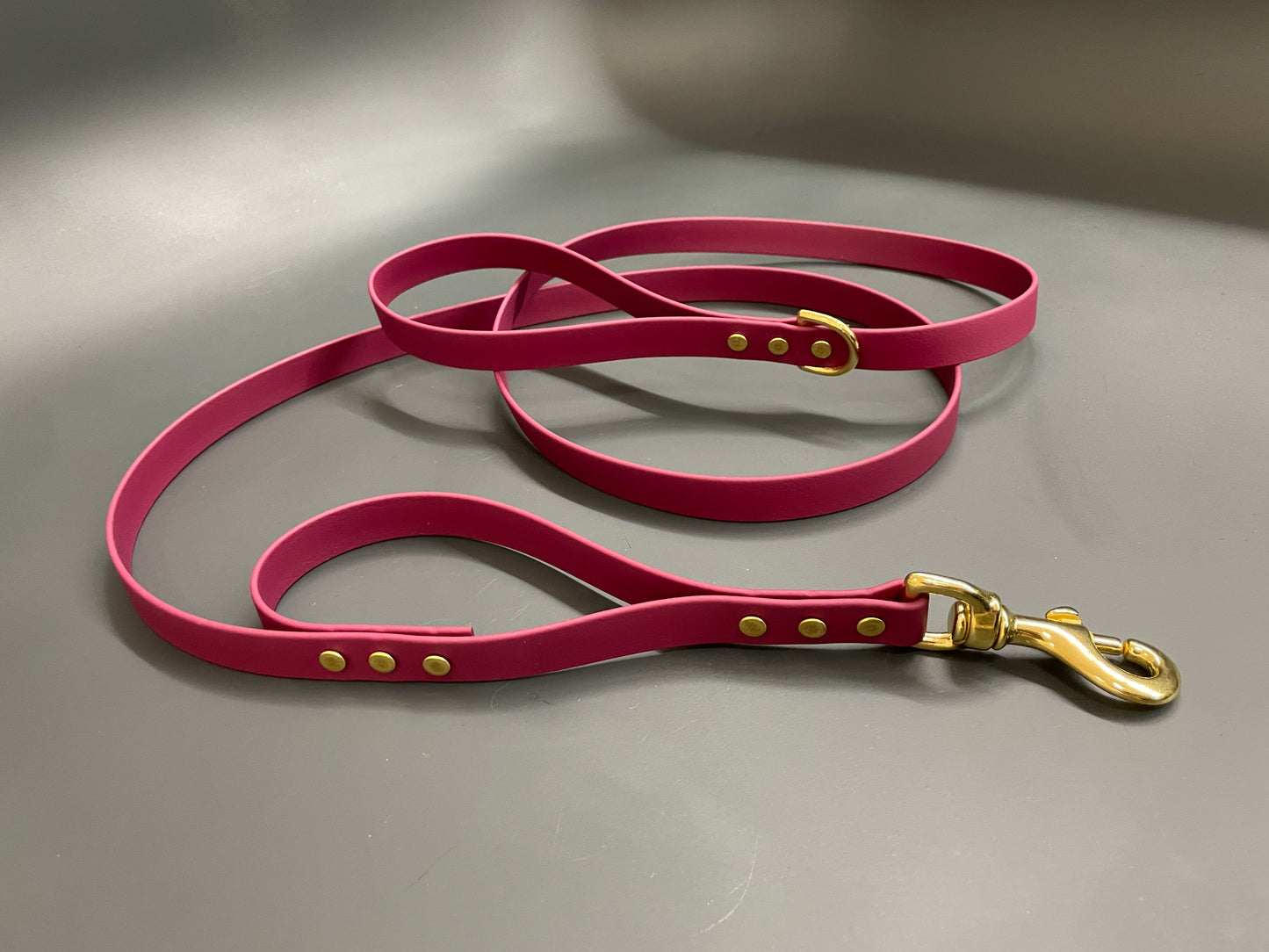 Handmade BioThane® Leash with Traffic Handle